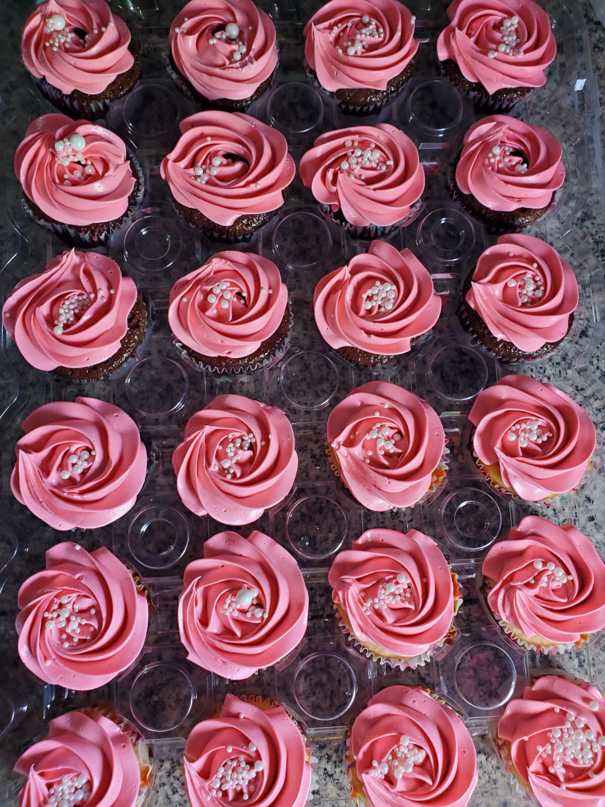 Regular Cupcakes
