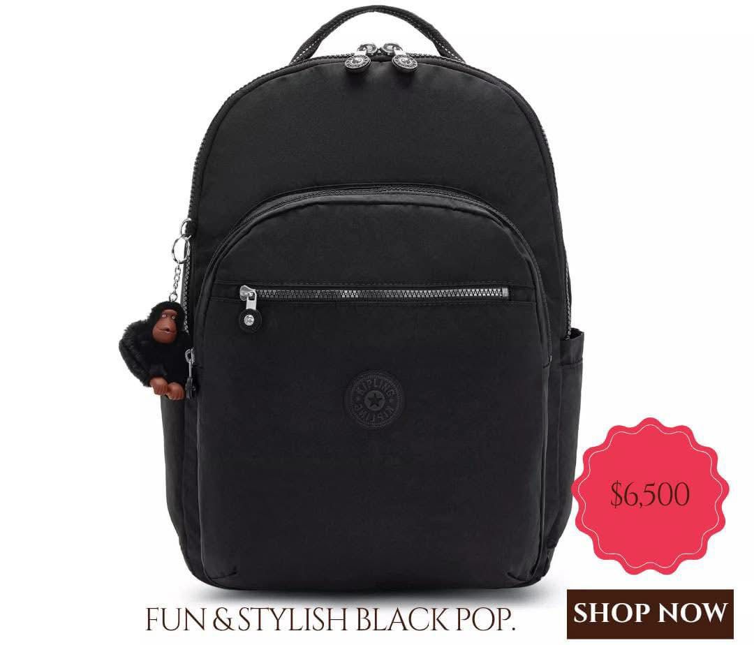 Laptop/Book Bag - Blue & Black