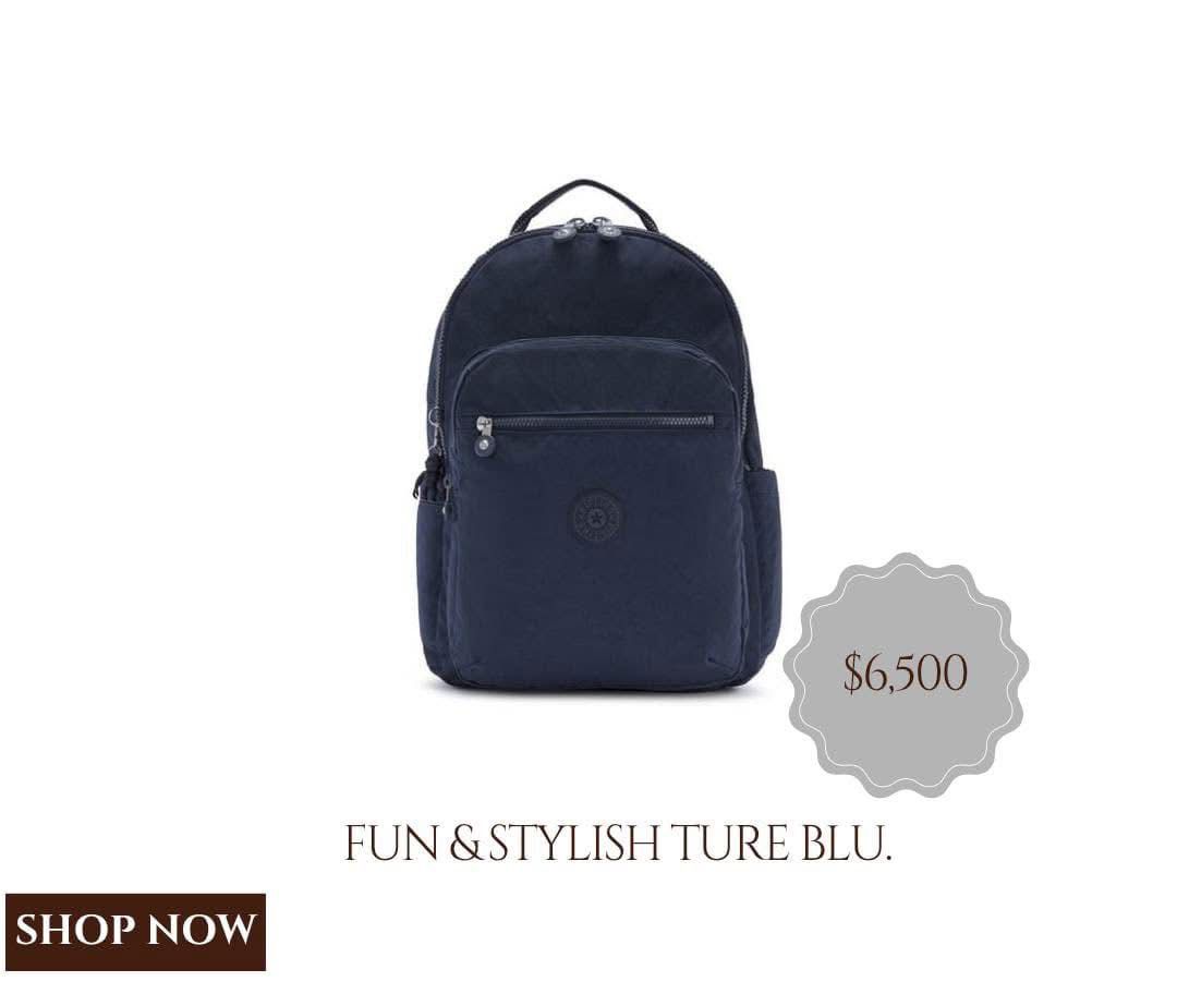 Laptop/Book Bag - Blue & Black