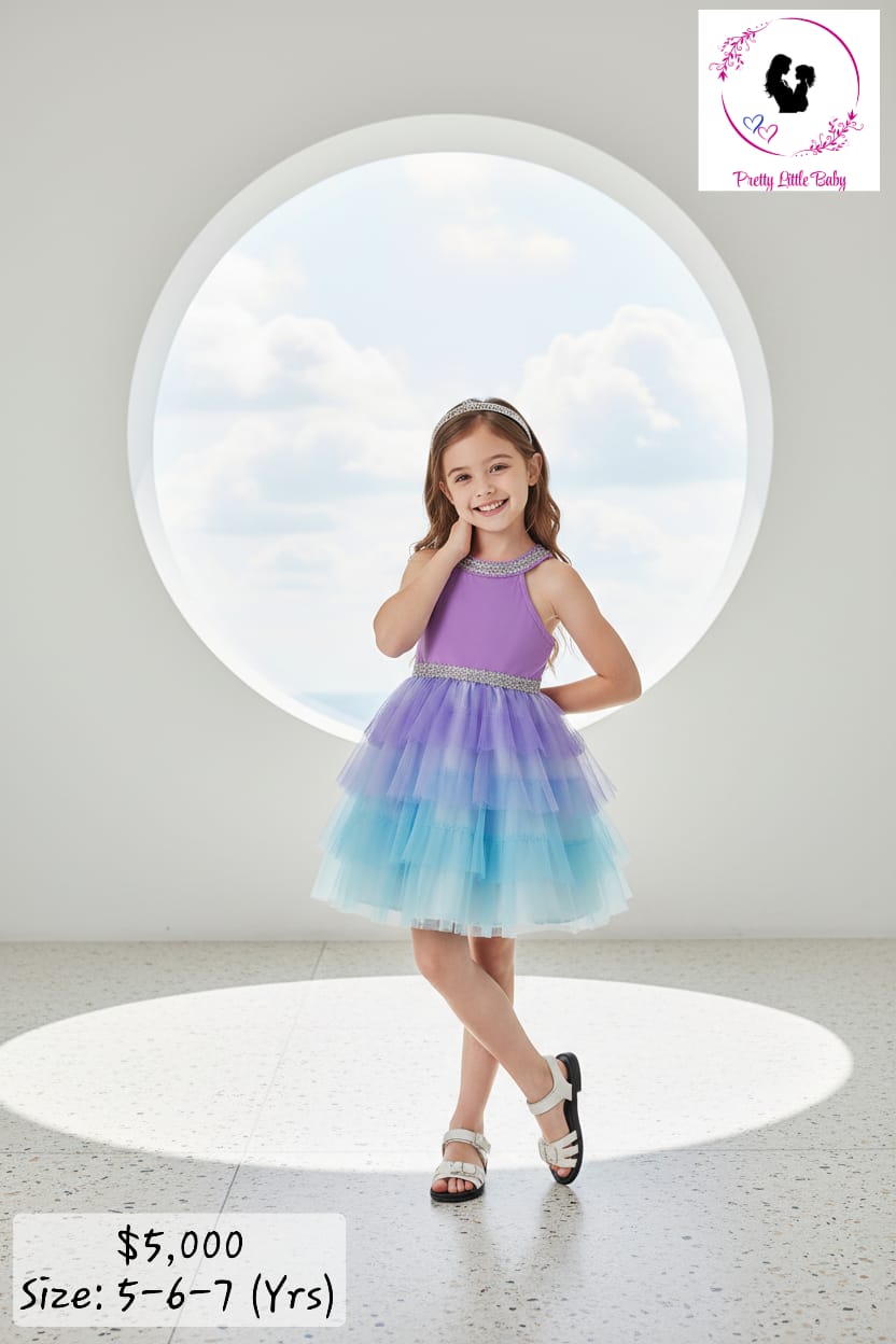 Princess Tulle Dress