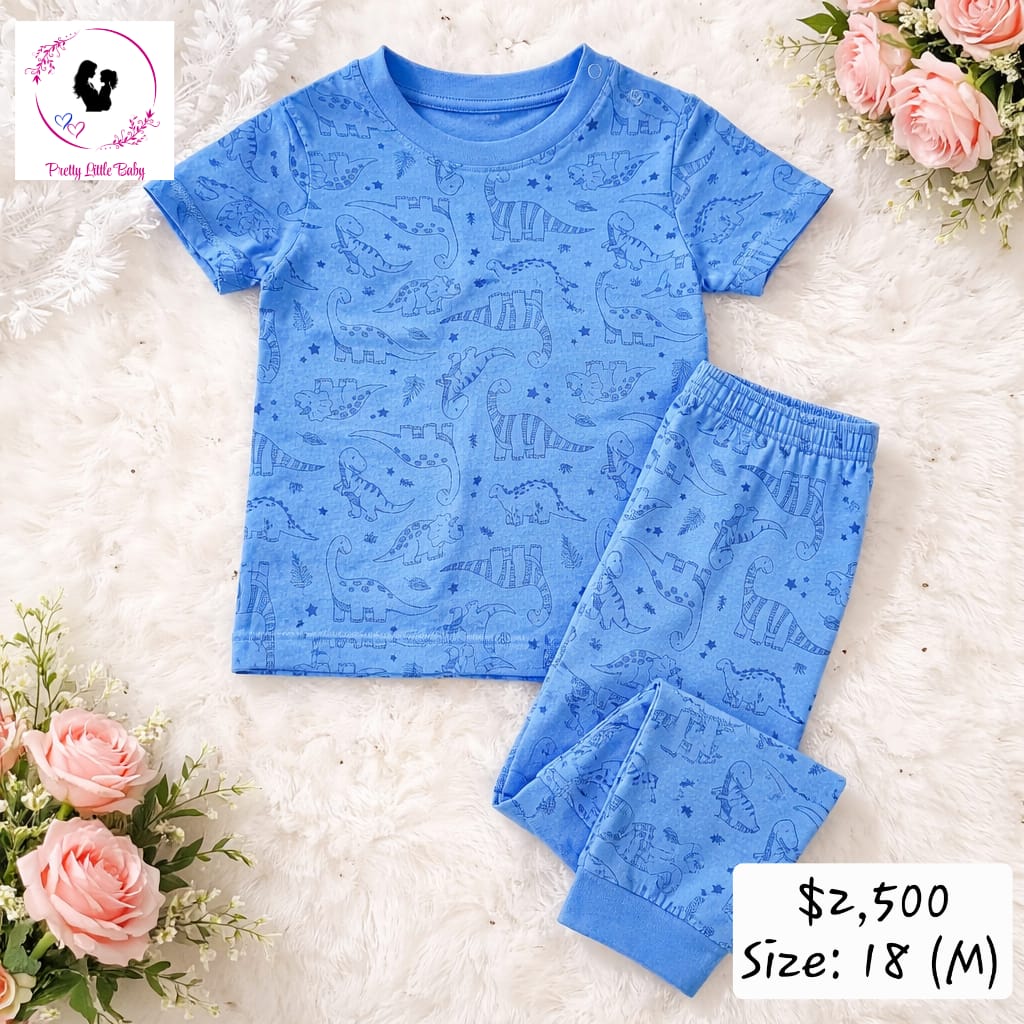 Baby Boy's Dino Set