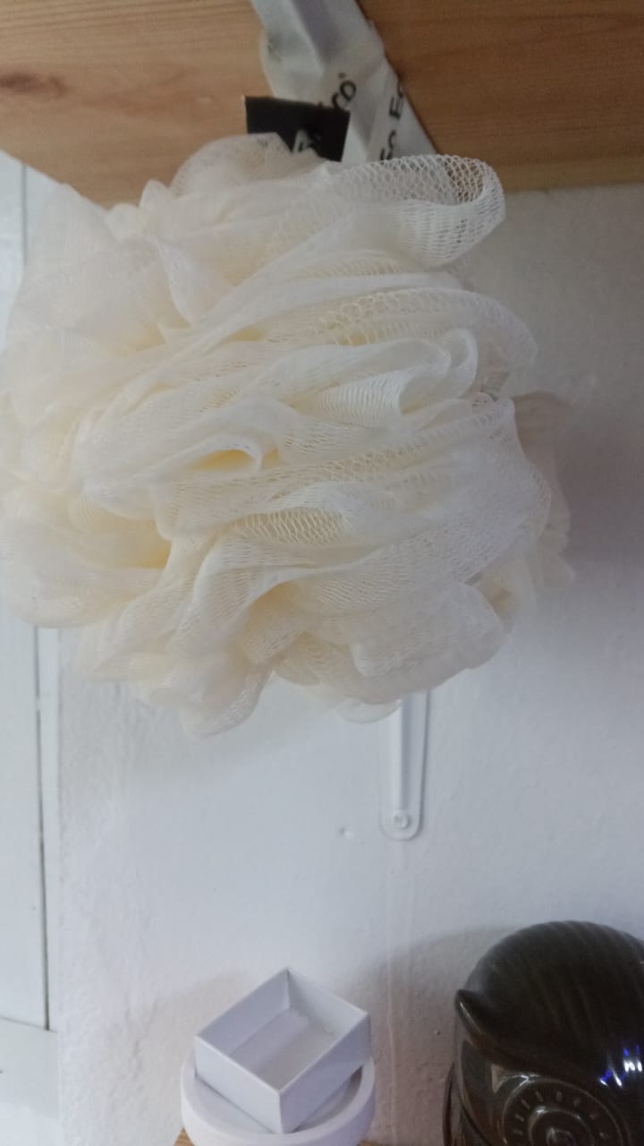 Mesh Body Exfoliator